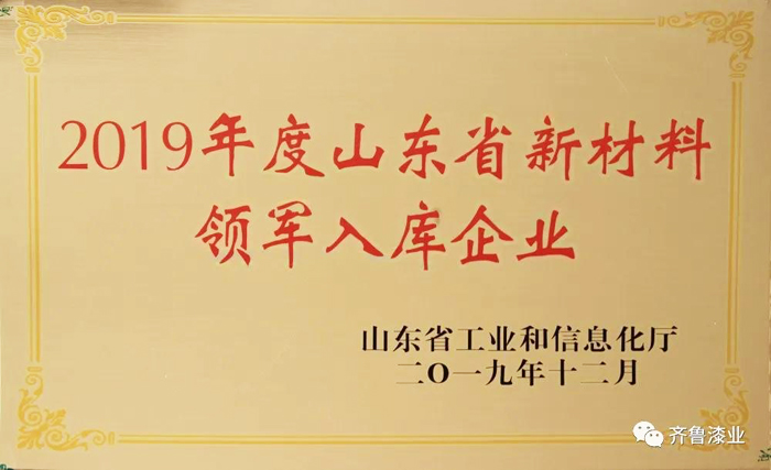 山東齊魯漆業有限公司